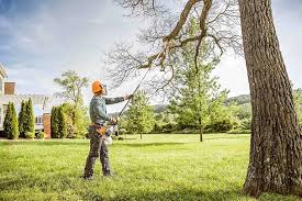  Hurricane, WV Tree Services Pros